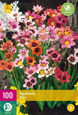 Sparaxis mix 100 stuks - afbeelding 1