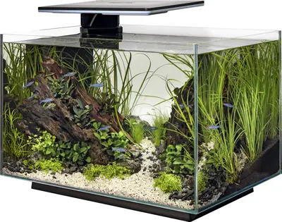 Superfish aquarium Quadro pro zwart 70l