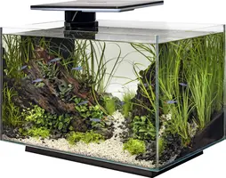 Superfish aquarium Quadro pro zwart 70l - afbeelding 1
