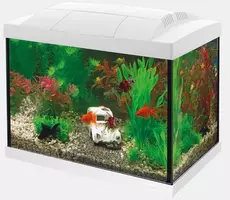 Superfish aquarium Start 20 goldfish kit wit - afbeelding 1
