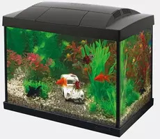 Superfish aquarium Start 20 goldfish kit zwart - afbeelding 1