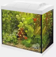 Superfish aquarium Start 30 tropical kit wit - afbeelding 1