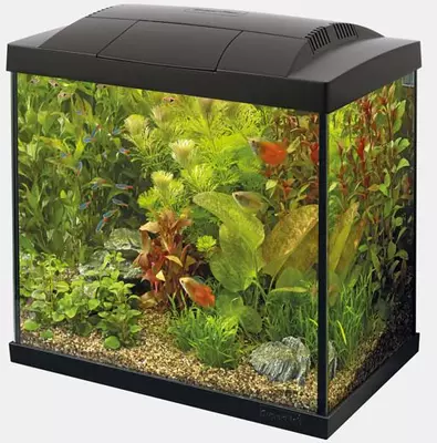 Superfish aquarium Start 50 tropical kit zwart - afbeelding 1