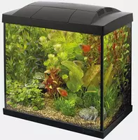 Superfish aquarium Start 50 tropical kit zwart kopen?