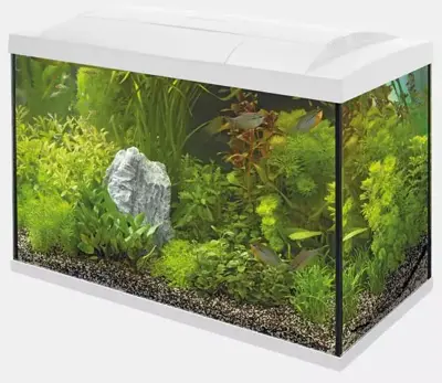 Superfish aquarium Start 70 tropical kit wit - afbeelding 1