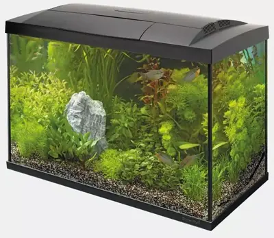 Superfish aquarium Start 70 tropical kit zwart - afbeelding 1