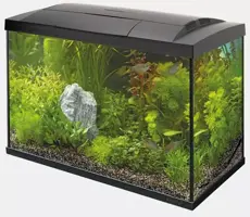 Superfish aquarium Start 70 tropical kit zwart - afbeelding 1