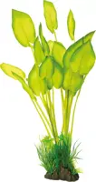 SuperFish Art Plant 40 cm Echinodorus kopen?