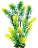 Superfish Art Plant 40 cm Myriophyllum kopen?