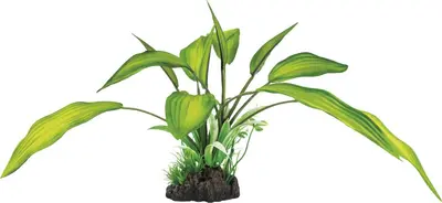 Superfish Artplant 25cm cryptocoryne 1Stuk