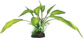 Superfish Artplant 25cm cryptocoryne 1Stuk kopen?