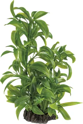 Superfish Artplant 25cm dracaena 1Stuk