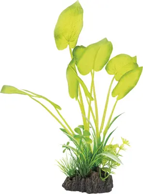 Superfish Artplant 25cm echinodorus 1Stuk