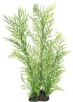 Superfish Artplant 40cm ceratopteris 1Stuk kopen?