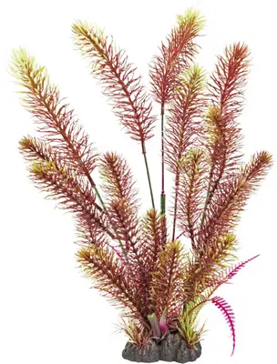 Superfish Artplant 40cm myriophyllum red 1Stuk