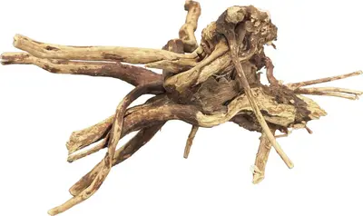 Superfish Bio Art Spiderwood 10 - 15cm