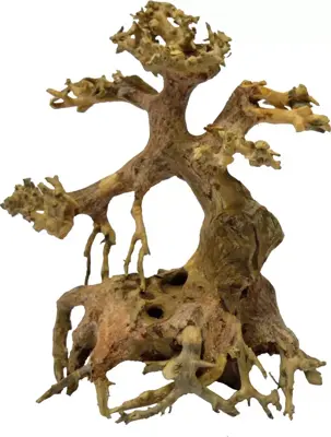 Superfish Bonsai driftwood xs