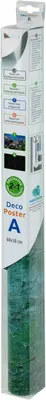 Superfish Deco poster a3 l100b49cm - afbeelding 2