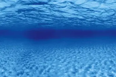 Superfish Deco poster f4 l120b49cm - afbeelding 2