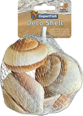 Superfish decoratie schelpen gestreept XL