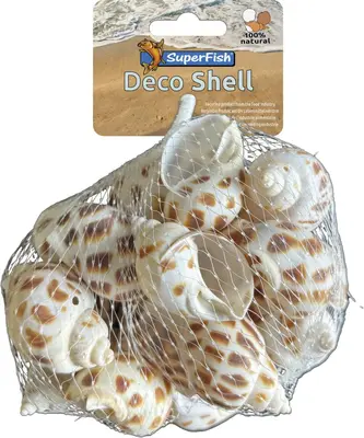 Superfish decoratie schelpen gestreept XL