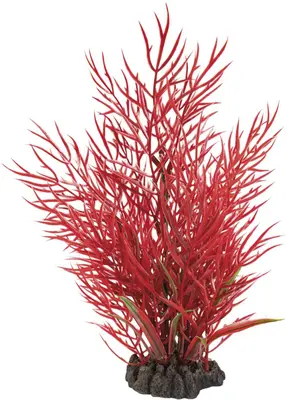 Superfish kunstplant ludwigia 25cm