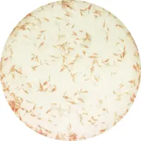 Superfish levende artemia 90ml - afbeelding 1