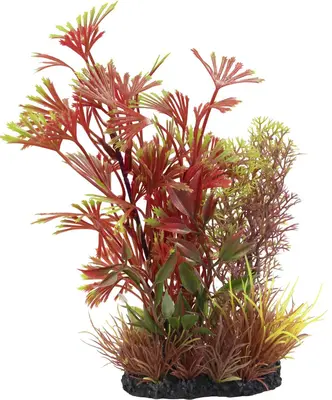 Superfish Plant l nr 1 1Stuk