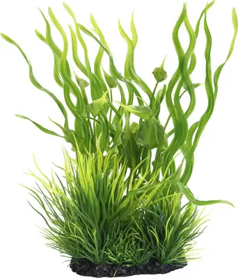 Superfish Plant l nr 6 1Stuk