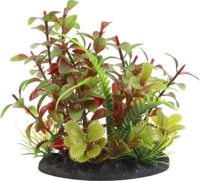 Superfish Plant s nr 2 1Stuk