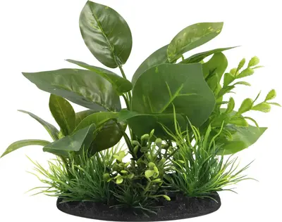 Superfish Plant s nr 5 1Stuk