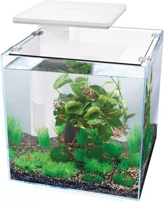 Superfish Qubiq 30 pro wit - afbeelding 1