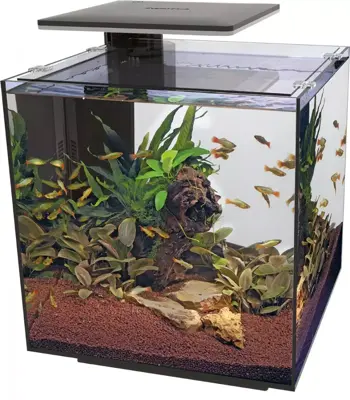 Superfish Qubiq 60 pro zwart - afbeelding 1