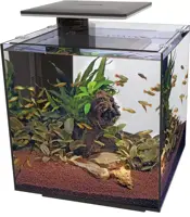 Superfish Qubiq 60 pro zwart - afbeelding 1