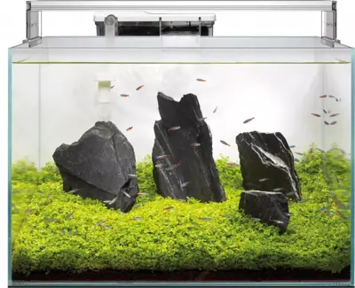 Superfish Scaper 45 aquarium - afbeelding 2