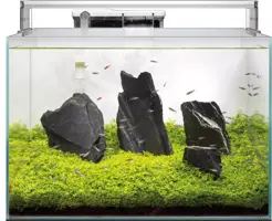 Superfish Scaper 60 aquarium - afbeelding 2