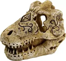 Superfish Skull t rex s kopen?