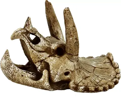 Superfish Skull triceratops m