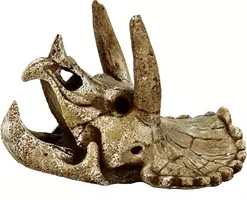 Superfish Skull triceratops m kopen?