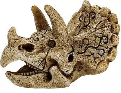 Superfish Skull triceratops s