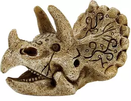 Superfish Skull triceratops s kopen?