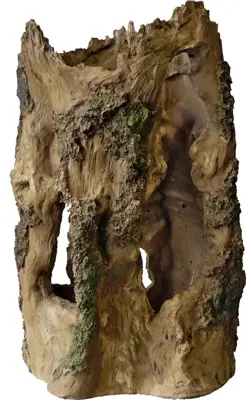 Superfish Tree home l l24b22h37cm