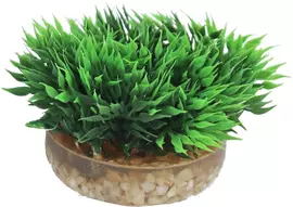 Sydeco kunststofplant Green Moss, 7 cm kopen?