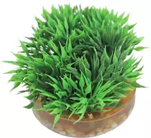 Sydeco kunststofplant Green Moss, 7 cm - afbeelding 3