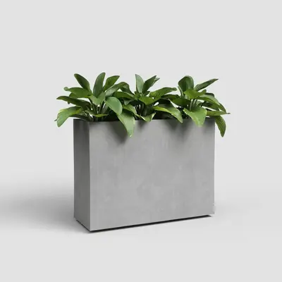Sydney hoge plantenbak met waterreservoir 79,5 x 29,5 x 68 cm - afbeelding 2