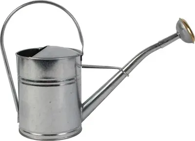 Talen Tools Metalen Gieter 2 Liter Verzinkt – Met Broeskopoptie
