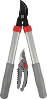 Talen Tools  Snoeiset – Takkenschaar – Snoeischaar – Koolstofstalen messen kopen?