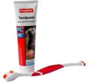 Tandpasta+borstel 1st