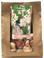 Tas Mix & Match Peach blush 25 stuks - afbeelding 1