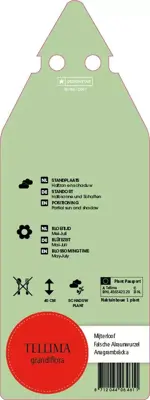 Tellima Grandiflora (Mijterloof) - afbeelding 2